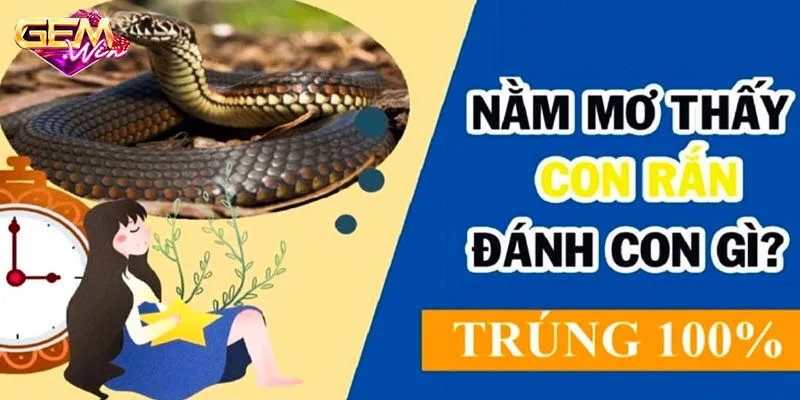 Mơ thấy rắn đánh con gì và thông điệp